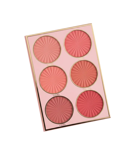 Rose Berry 6 in 1 Make Up Kit